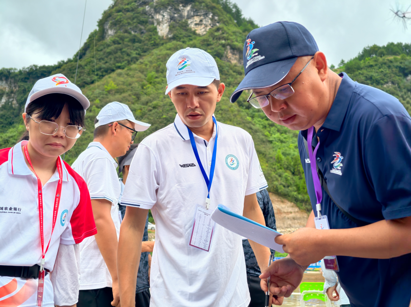 队踊跃参与, bt, LMRpe 队踊跃参与, bt, LMRpe