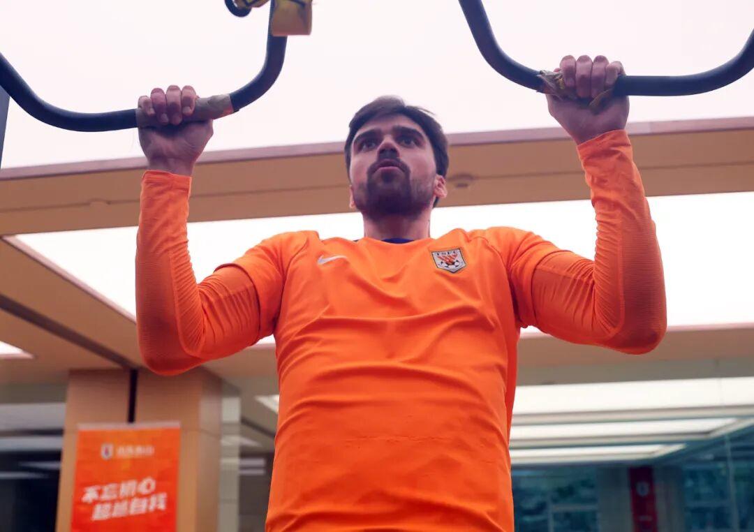 泰山将回到 泰山将回到